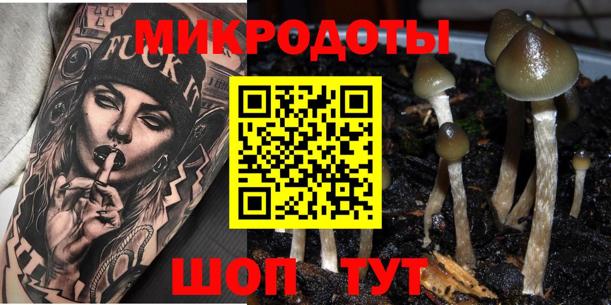 Еманжелинск  Галлюциногенные грибы Psilocybine cubensis  Вход с VPN 